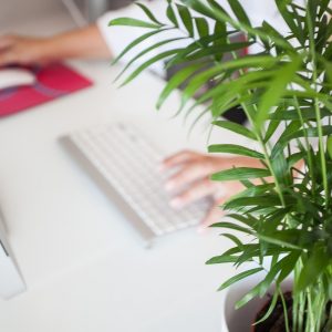 telework 5046230 1280